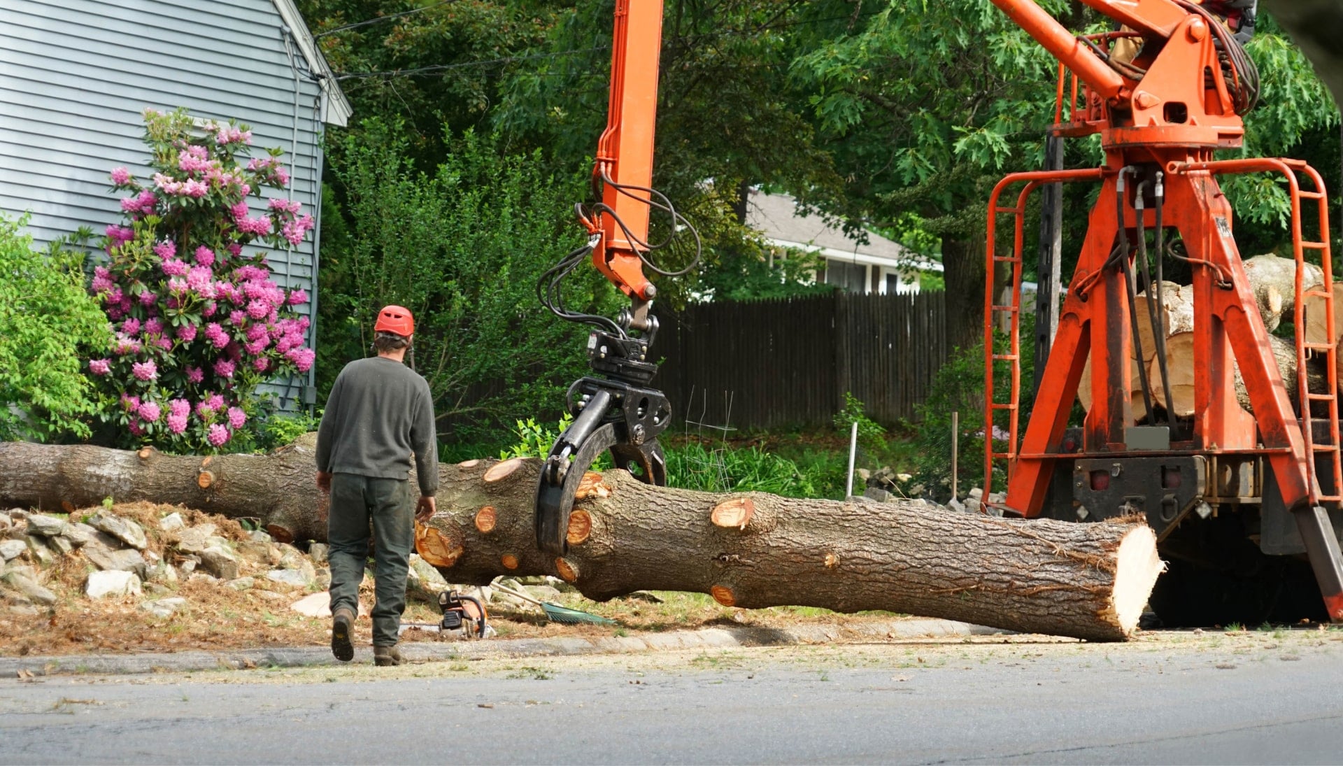Local partner for Tree removal services in Newnan