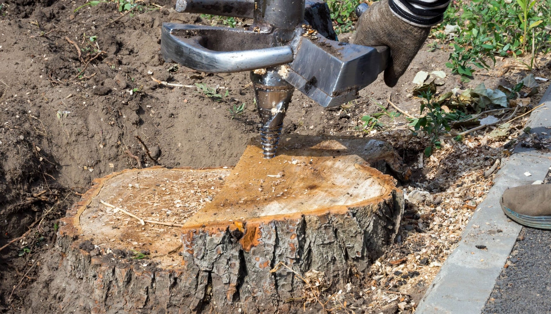 Newnan Tree stump removal